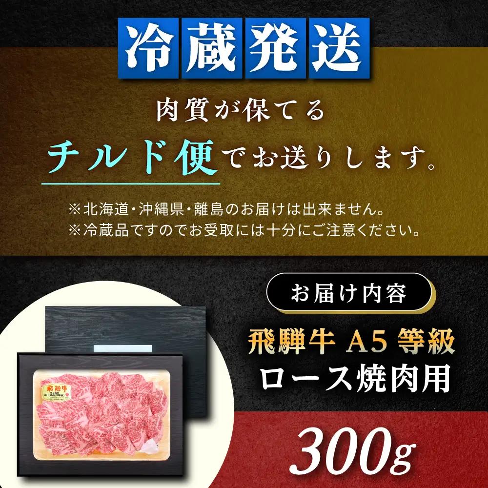 飛騨牛 A5 ロース 300g / 恵那市 / 東美濃農業協同組合 [AUFX007]