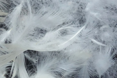 ダウンパッド（羽毛敷きパッド）セミダブル ［サステナブルなダウン×抗菌防臭生地］ 【1328】