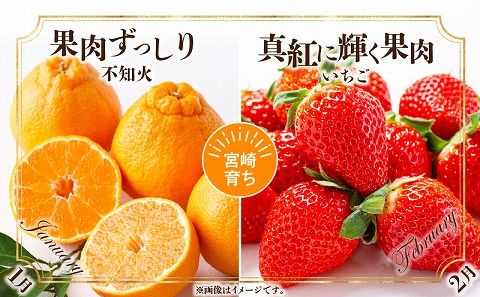 《2026年発送先行予約》南国くだもの6ヶ月定期便_M348-T003