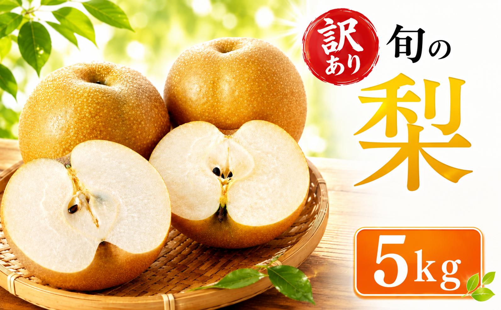 
                  訳あり 梨  5kg  | なし ナシ 5キロ 豊水 幸水 にっこり 旬の梨 和梨 果実 みずみずしい 酸味 甘み 果肉 果汁 たっぷり 果物 くだもの フルーツ デザート fruit nasi 先行予約 2026年産 旬 の 果物 旬のフルーツ 特産品 茨城県産 関東 茨城 筑西
                