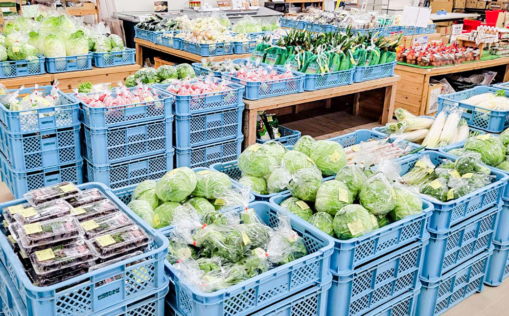 
            その時期の一番美味しいをお届け！ 竹田育ちの 「野菜詰め合わせセット」 B
          