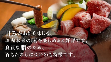 飛騨牛 ウデ スライス すき焼き しゃぶしゃぶ用　600g 牛肉 和牛 肉 御中元 お中元 うで［Q112］