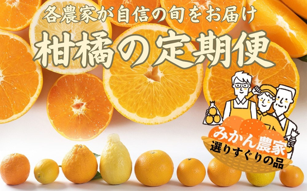 【定期便/全10回】厳選・柑橘の定期便 和歌山県下津町から農園直送！まごころ産直みかん【北海道・沖縄県・一部離島 配送不可】旬 みかん 早生 由良 完熟 蔵出し 津之輝 甘夏 不知火