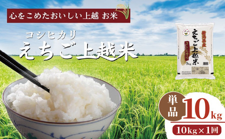 米 コシヒカリ えちご上越米 10kg 令和7年産 お米 新米 白米 精米 銘柄米 新潟県産