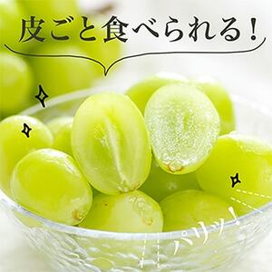 【2025年発送】岡山県産　シャインマスカット『晴王』1房　700g以上　化粧箱入り【配送不可地域：離島・北海道・沖縄県】【1281355】