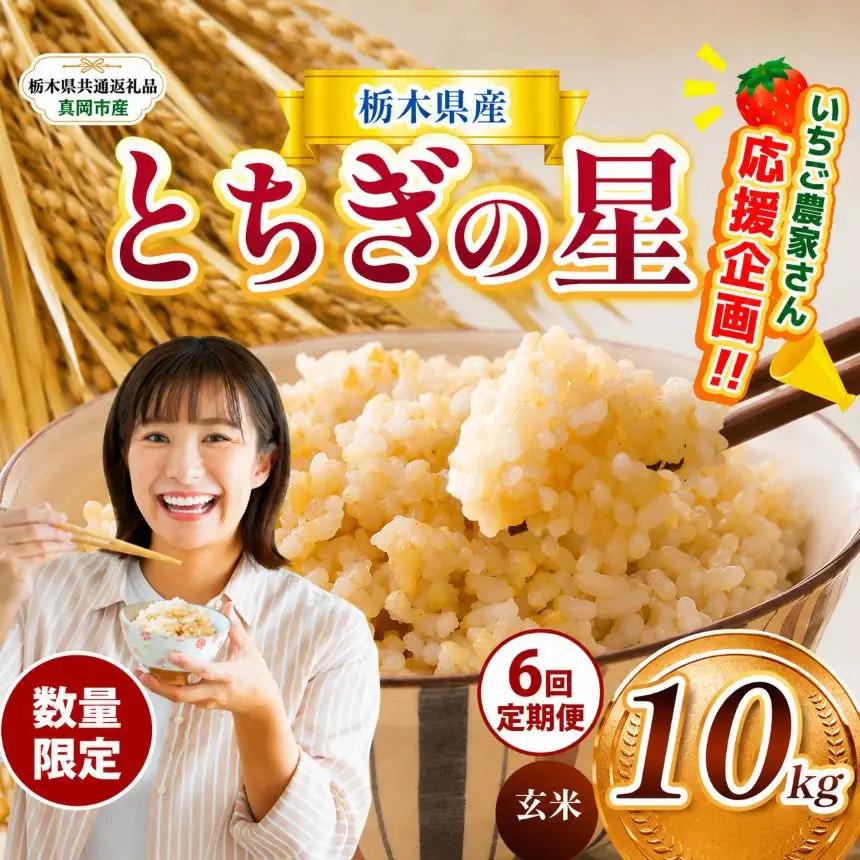 【定期６回】先行予約【令和8年度産】栃木県産とちぎの星 10kg | 【栃木県共通返礼品】 