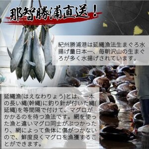 那智勝浦直送!天然生まぐろ　柵　500g【配送不可地域：離島・北海道・沖縄県】【1537326】