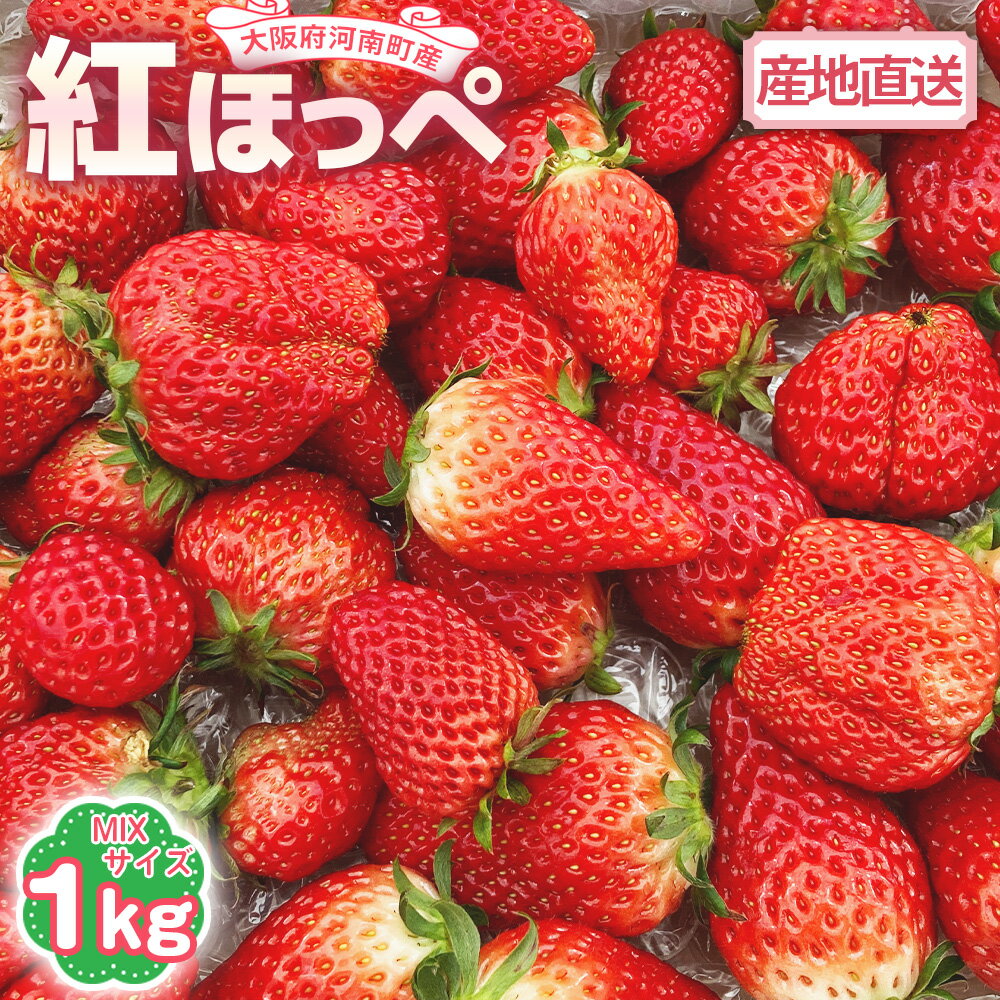 【ふるさと納税】 【紅ほっぺ】MIX（サイズいろいろ）1kg程度 ／ べにほっぺ いちご 苺 果物 フルーツ 1kg 1キロ 小粒 大粒 サイズミックス サイズ混合 サイズいろいろ 国産 河南町産 大阪府 特産 送料無料 No.257