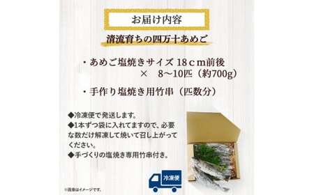 清流育ちの四万十あめご （約700g）冷凍 個包装 竹串付き BBQ 川魚 あめご ／Eay-01