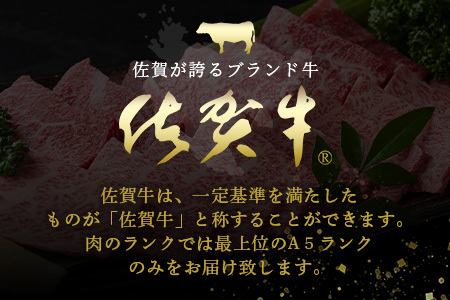 【最速！1週間以内発送！】佐賀牛 最上級Ａ５ランク カルビ焼き肉用400ｇ 牛肉 国産 佐賀県産 鹿島市 カルビ カルビ焼き肉用 BBQ ご褒美 最速 送料無料 年内発送の受付【12月25日迄】年明け