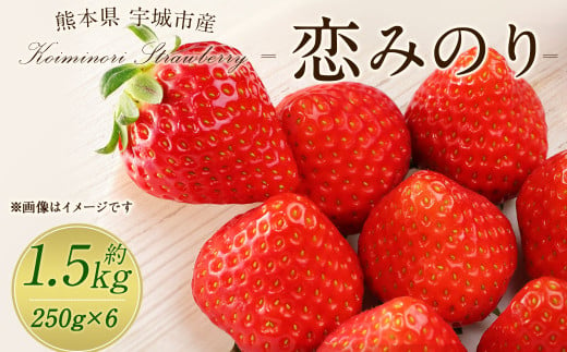 宇城市産 恋みのり イチゴ 6パック 約1.5kg【2025年2月上旬から3月下旬発送予定】苺 いちご イチゴ 恋みのり