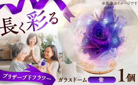 プリザーブドフラワー　ガラスドーム (紫)  BHDC005 プリザーブドフラワー