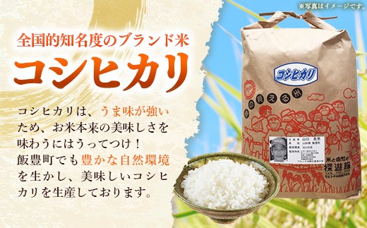 生産者の顔が見える米 コシヒカリ 白米 10kg（飯豊町産）（R8年産） - おこめ 米 ごはん 旨味 粘り こしひかり 単一米 銘柄 ブランド米 おすすめ 送料無料 マルシチ米穀 山形県 飯豊町