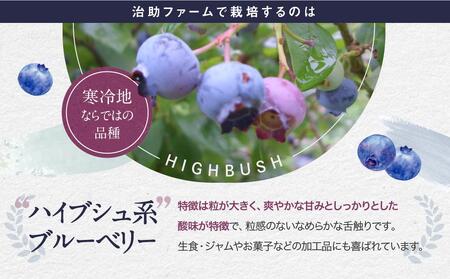 【先行受付】治助ファームの北部ハイブッシュ ブルーベリー「生果実」230g×2 （栽培中農薬不使用）| ブルーベリー  LJ001