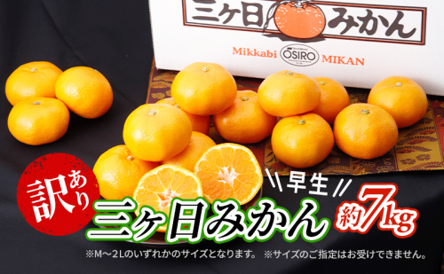 【2025年11月中旬より順次発送】 訳あり 三ヶ日みかん 早生 7kg 早生みかん みかん 蜜柑 ミカン 果物 くだもの 旬のフルーツ 旬の果物 季節のフルーツ 季節の果物 柑橘 柑橘類 訳アリ 静岡 静岡県 浜松市