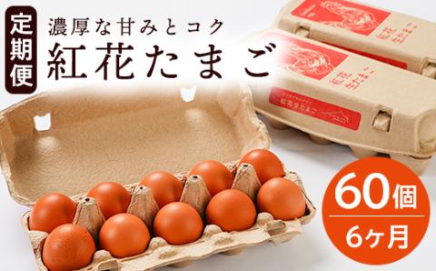【6ヶ月定期便】 紅花たまご60個セット 10個×6パック/月 [026-009]
