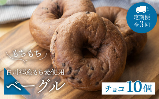 定期便 全3回 白川郷産 もち麦使用 ベーグル（チョコ）10個セット 42000円 [S788]