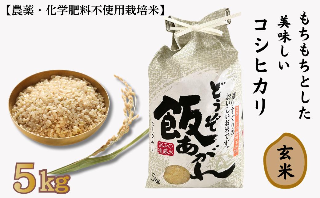 
            もちもちとした美味しい コシヒカリ 玄米 5kg【農薬・化学肥料不使用栽培米】：B230-021
          