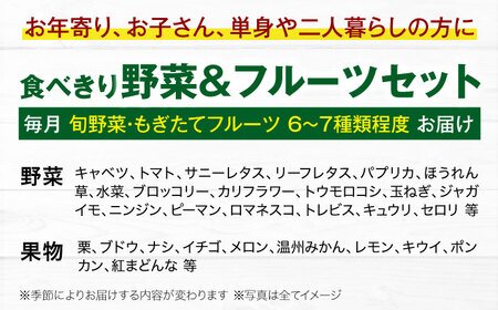 【全3回定期便】野菜×フルーツセット（6-7種）少量食べきりセット　 野菜 果物 やさい 少量セット[AGBX048]