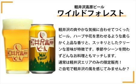 【定期便12カ月】 クラフトビール 350ml 3種24本 飲み比べセット 【ヤッホーブルーイング インドの青鬼 クラフトザウルス ペールエール 軽井沢高原ビール 地ビール お酒 酒 長野県 佐久市 