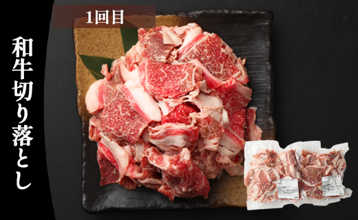 【6回定期便】鹿児島黒牛 バラエティセット 焼肉 すき焼き ステーキ バラスライス 和牛ミンチ ハンバーグ 鹿児島牛 鹿児島黒牛 黒牛 ロース カルビ バラ 冷凍 定期便 6回