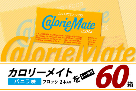 【3回定期便】≪バニラ味≫ カロリーメイトブロック 2本入り 計20箱 ×3回 合計60箱【定期便 徳島 那賀 大塚製薬 カロリーメイト バニラ ビタミン ミネラル たんぱく質 脂質 糖質 5大栄養素