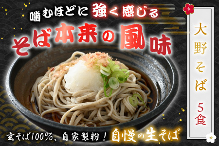 越前大野産 石臼挽き 越前そば 生そば5食 ＋ きしめん6食（つゆ付）[A-018018]