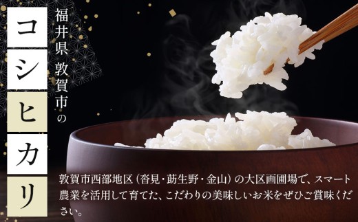 [108-a001]【定期便】≪12ヶ月≫ 令和8年産米 コシヒカリ精米 5kg