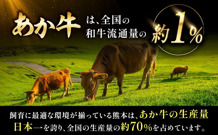 菊陽町 あかうし 熊本県 肉 にく niku ブランド 旨み 定期便