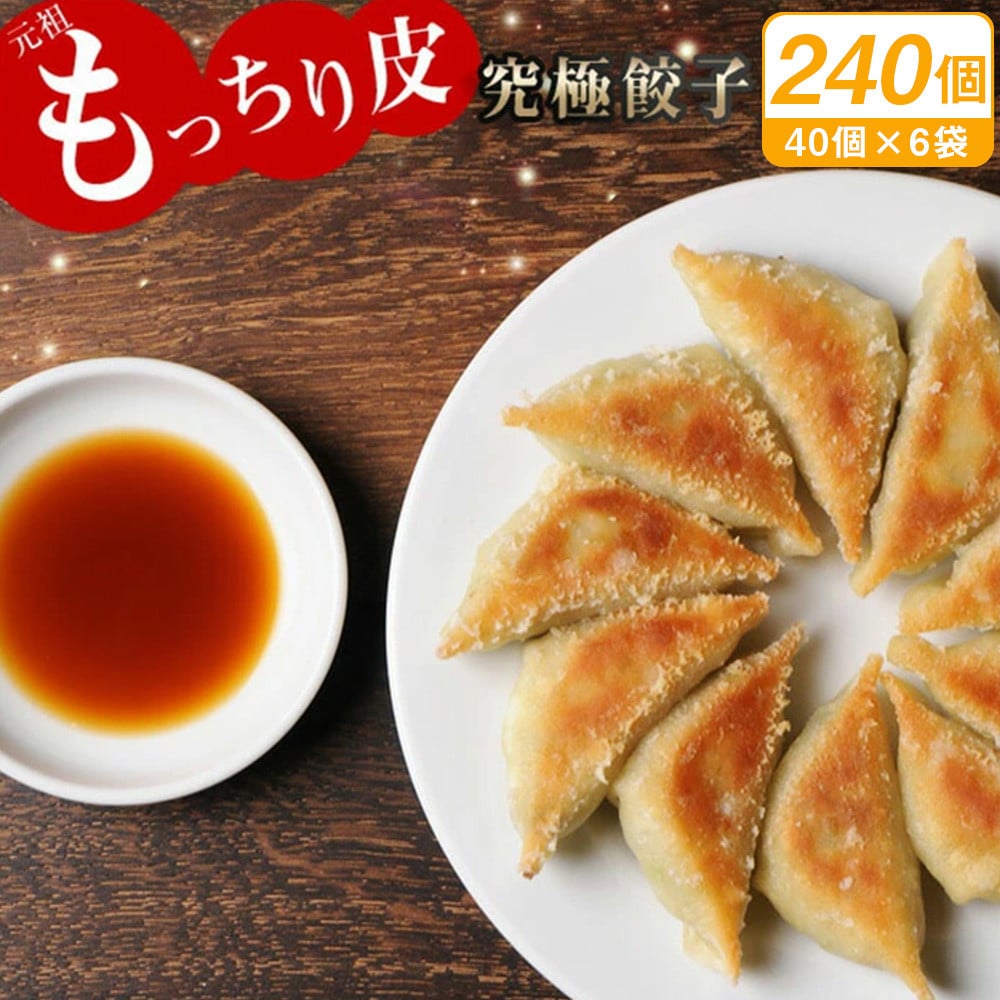 【お酒が美味しい初夏応援!】＜馬渡のもっちり餃子240個＞2〜3週間以内に順次出荷 餃子の馬渡