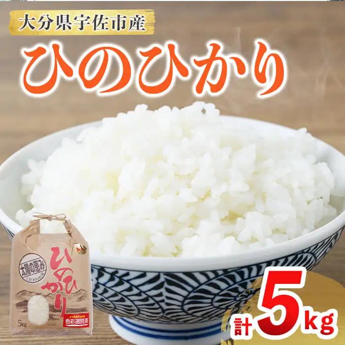 ひのひかり (計5kg) 米 お米 ひのひかり ヒノヒカリ 白米 ご飯 大分県産【118500200】【両院農産】