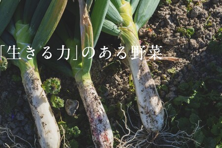 【毎月定期便】【フードロス対応・規格外野菜利用】有機野菜　シェフＳセット　オーガニック野菜 全6回 6688