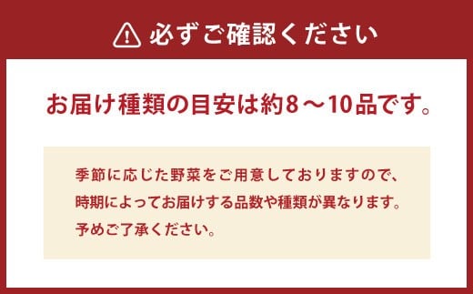 栽培期間中農薬不使用・有機肥料で育てた 季節の野菜セット 約4～8kg