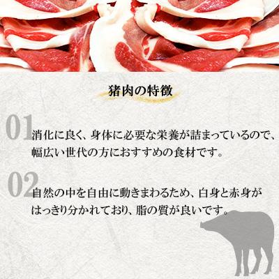 ふるさと納税 川棚町 【ジビエ 天然イノシシ肉】おまかせ焼肉セット 600g (ロース・モモ・バラ) |  | 02