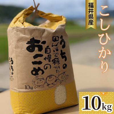 ふるさと納税 小浜市 先行受付　令和7年産福井県産こしひかり　白米10kg