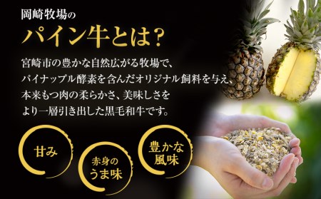 宮崎県産 黒毛和牛 パイン牛 メンチカツ 12個 国産 国産牛 和牛 ブランド牛 旨味 甘味 肉 お肉 牛肉 牛 赤身 冷凍 揚げるだけ おかず グルメ お取り寄せ