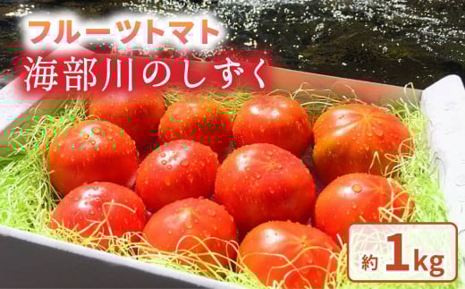 フルーツトマト「海部川のしずく」約1kg トマト とまと tomato