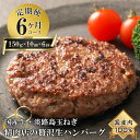 【ふるさと納税】【6ヶ月コース】淡路島玉ねぎと国産牛の生ハンバーグ150g×10個 定期便