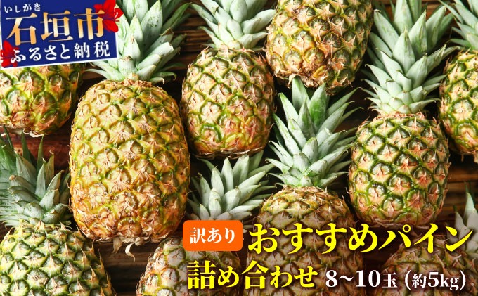 訳あり 石垣さんちのおすすめパイン詰め合わせ 8～10玉 (約5kg)《2026年4中旬から順次発送》 TP-21