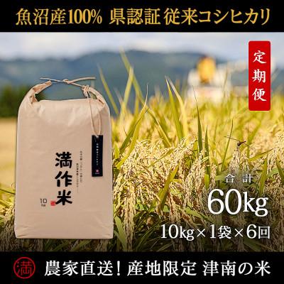 ふるさと納税 津南町 【毎月定期便】県認証特栽元祖魚沼産コシヒカリ10kg (10kg×1袋)×6回 合計60kg全6回