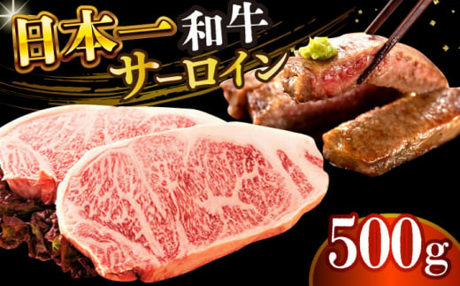 【A4～A5】長崎和牛サーロインステーキセット　500g（250g×2枚）【株式会社 MEAT PLUS】 [DBS014]