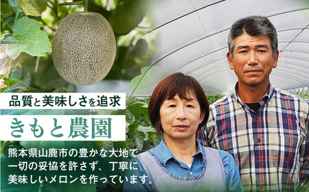 【先行予約】 【数量限定】 山鹿の恵み! 匠の育てた　肥後グリーン メロン 約2㎏以上（約2kg以上×1玉）【きもと農園】[ZFQ002]