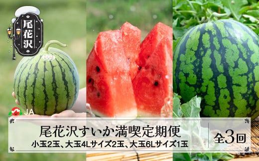 先行予約 尾花沢すいか満喫定期便 全3回 7月中旬～8月上旬頃発送 2025年産 令和7年産 スイカ すいか 西瓜 フルーツ 果物 果物定期便 食べ比べ 山形県 JA ja-tksux