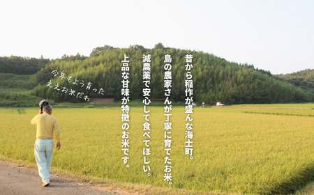 【定期便6ヵ月】令和7年度新米 きぬむすめ 2kg×6か月定期便 お米 新米 精米 白米 弁当 ごはん ご飯 きぬむすめ