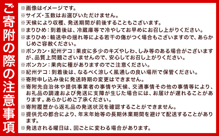 【発送月固定定期便】紀州和歌山県産 旬のフルーツ (いちご・ポンカン・紀州デコ) 全3回 Mセット 魚鶴商店《1月上旬-3月下旬頃出荷》 和歌山県 日高町 まりひめ いちご ポンカン 紀州デコ 不知火 定期便 フルーツ 果物 定期便---wsh_uotteim_26_51000_jun3---