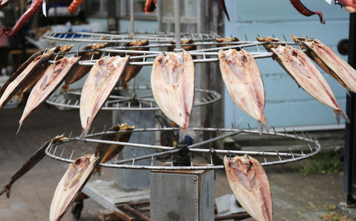 さんま食べつくしセット（一夜干し5尾・しめさんま2パック）《厚真町》【株式会社めぐみ水産】 さんま 干物 しめさんま 海鮮 冷凍配送 北海道 [AXAZ005]