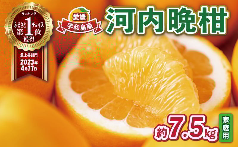 
家庭用 河内晩柑 7.5kg 玉津柑橘倶楽部 和製 グレープフルーツ 晩柑 かわちばんかん さっぱり 酸味 果物 くだもの フルーツ 柑橘 みかん mikan 蜜柑 愛媛蜜柑 愛媛みかん 農家直送 産地直送 数量限定 国産 愛媛 宇和島 B010-072004
