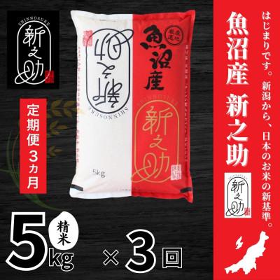 ふるさと納税 十日町市 【毎月定期便】【定期便3回(毎月発送)】新之助 精米 5kg全3回