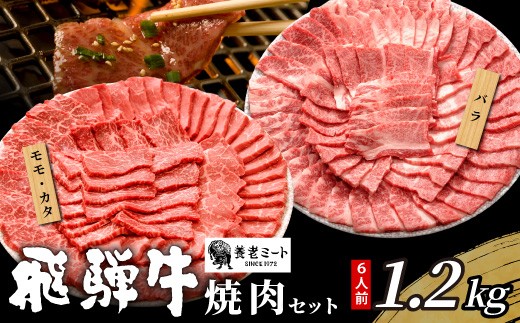 【11月発送】 贅沢！ 飛騨牛 焼肉セット 計1.2kg 6人前 牛肉 和牛 肉 焼肉 BBQ 霜降り カルビ 赤身 モモ カタ 東白川村 岐阜 養老ミート