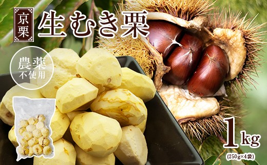 《11月中旬以降発送》京栗 生むき栗 冷凍  1kg（250g×4袋）【 京都 綾部 丹波栗 自然栽培 農家直送 国産 無農薬 果物 フルーツ くり 栗 小分け 個包装 】